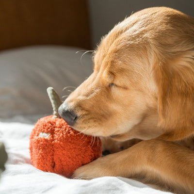 Lambwolf Red Pepper Pet Toys