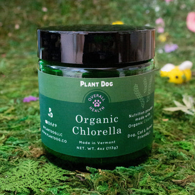 Plant Dog Chlorella Powder Supplement- Natural Immunity Boost and Anti-Inflammatory - Dog Treats - Plant Dog - Shop The Paw