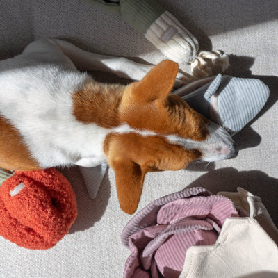 Lambwolf Large Farmer's Market Pet Toys
