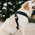 [PRE-ORDER] Pups & Bubs Roam Luxe Harness (Black) - Pet Collars & Harnesses - Pups & Bubs - Shop The Paw