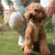 [PRE-ORDER] Pups & Bubs Roam Luxe Harness (Desert) - Pet Collars & Harnesses - Pups & Bubs - Shop The Paw