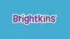 Brightkins Slice O Pie Treat Puzzle Pet Toys