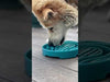 Sodapup - eBowl Enrichment Slow Feeder Bowl for Dogs - Baja