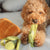 [Pre-Order] Pups & Bubs Veggie Garden Nosework Toy - Pet Carriers & Crates - Pups & Bubs - Shop The Paw