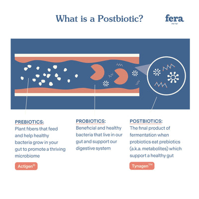 Fera Pet Postbiotics Plus For Cats & Dogs - Supplement - Fera Pet Organics - Shop The Paw