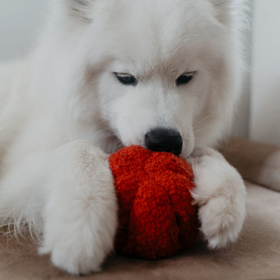 Lambwolf Red Pepper Pet Toys