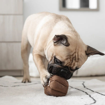 Lambwolf Canele Pet Toys