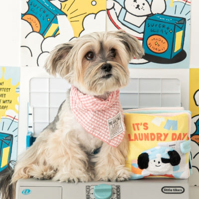 Bite Me Laundry Day Book Nose Work Dog Toy - Toys - BiteMe - Shop The Paw