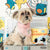 Bite Me Laundry Day Book Nose Work Dog Toy - Toys - BiteMe - Shop The Paw