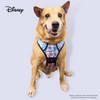 Disney Adventure Harness | Foodie Stitch - Pet Collars & Harnesses - Disney/Pixar - Shop The Paw