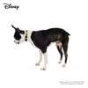 Disney Dog Collar | Winnie The Pooh - Yellow - Pet Collars & Harnesses - Disney/Pixar - Shop The Paw