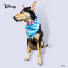 Disney Reversible Bandana | Foodie Stitch - Dog Apparel - Disney/Pixar - Shop The Paw