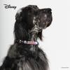 Pixar Dog Collar | Buzz Lightyear - Purple - Pet Collars & Harnesses - Disney/Pixar - Shop The Paw