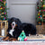Fringe Studio Ready Set Glow Hide & Seek Dog Toy - Toys - Fringe Studio - Shop The Paw