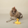 Fringe Studio Floating By Duck Plush Dog Toy - Toys - Fringe Studio - Shop The Paw