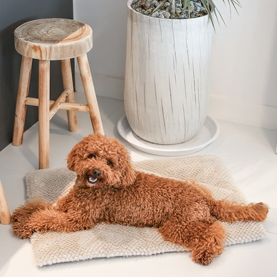Pups & Bubs Double-Sided Snooze Home Mat - Pet Carriers & Crates - Pups & Bubs - Shop The Paw