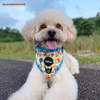 Disney Multi-way Adjustable Leash | Winnie The Pooh - Pet Leashes - Disney/Pixar - Shop The Paw