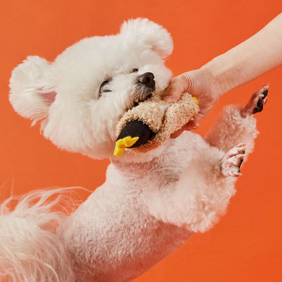 7 Bus Fried Chili Tempura Rolls Nosework Toy - Dog Toys - No 7 Bus - Shop The Paw