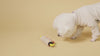 7 Bus Fried Chili Tempura Rolls Nosework Toy