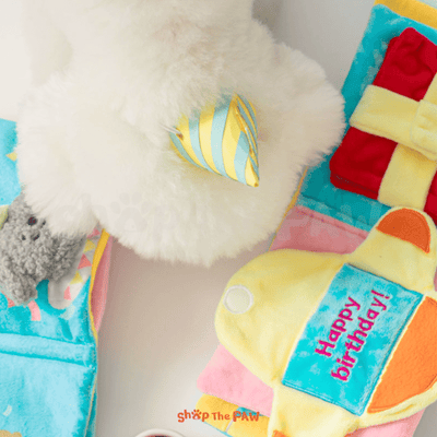 Bite Me Birthday Book Nose Work Dog Toy - Toys - BiteMe - Shop The Paw