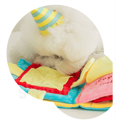 Bite Me Birthday Book Nose Work Dog Toy - Toys - BiteMe - Shop The Paw