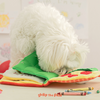 Bite Me My Lunch Menu Book Nose Work Dog Toy | Toys | BiteMe - Shop The Paws