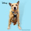 Disney Adventure Harness | Winnie The Pooh - Pet Collars & Harnesses - Disney/Pixar - Shop The Paw