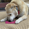 Sodapup - Flower e-mat (Enrichment Licking Mat) - Pink | Small - Toys - Sodapup - Shop The Paw