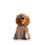 fabdog ® Fluffy Beaver Dog Toy - Toys - fabdog® - Shop The Paw