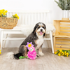 Fringe Studio Bloom Baby Bloom Plush Dog Toy - Toys - Fringe Studio - Shop The Paw