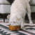 Swell Taekwood Dog Bowl - Pet Bowls, Feeders & Waterers - Swell - Shop The Paw