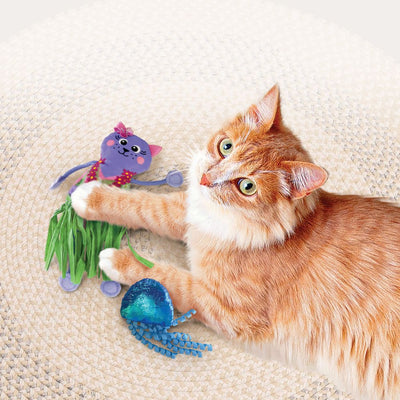 KONG Tropics – Hula (2 pcs) Cat Toy - Toys - Kong - Shop The Paw