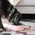 Swell Pink Topaz Dog Bowl - Pet Bowls, Feeders & Waterers - Swell - Shop The Paw