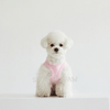 DA Pet Hello Kitty Shirt - Pink - Dog Apparel - DA Pet - Shop The Paw