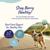 Kin+Kind Healthy Immunity Dog and Cat Supplement [NEW LOOK] - Supplement - Kin+Kind - Shop The Paw