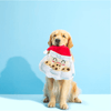 BARK Christmas Ho Ho Hold My Cookies Dog Toy - Toys - Bark - Shop The Paw