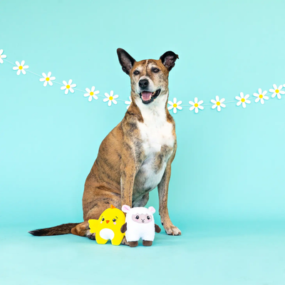 Fringe Studio Hoppy Together 2 Piece Dog Toy Set - Toys - Fringe Studio - Shop The Paw
