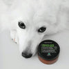 Essential Dog Organic Nose and Paw Balm 50g | Grooming | Essential Dog - Shop The Paws