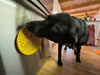 Sodapup - E-mat (Enrichment Licking Mat) with suction cups - Duckies - Toys - Sodapup - Shop The Paw