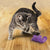 KONG Bat-A-Bout Spiral Cat Toy - Toys - Kong - Shop The Paw