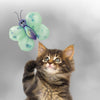 KONG Better Buzz – Butterfly Cat Toy - Toys - Kong - Shop The Paw