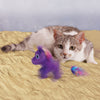 KONG Enchanted Buzzy Unicorn Cat Toy - Toys - Kong - Shop The Paw