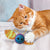 KONG Cat Active Flutterz Cat Toy - Toys - Kong - Shop The Paw