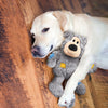 KONG Wild Knots Bears Dog Toy | Toys | Kong - Shop The Paws