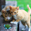 KONG Refillables – Duckie Cat Toy - Toys - Kong - Shop The Paw