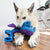 KONG Woozles – Blue Dog Toy - Toys - Kong - Shop The Paw