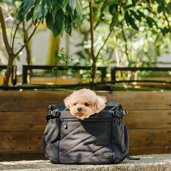 Pups & Bubs Snuggle Petite Pet Carrier (Black) - Pet Carriers & Crates - Pups & Bubs - Shop The Paw