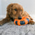 KONG Wrapz – Ring Dog Toy - Toys - Kong - Shop The Paw