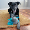 KONG Sherps Floofs – Elephant Dog Toy - Toys - Kong - Shop The Paw