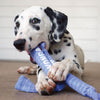 KONG Signature Crunch Rope – Single Puppy Dog Toy - Toys - Kong - Shop The Paw
